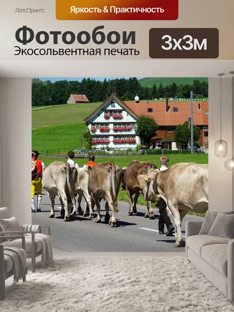 Фотообои Альпийский драйв