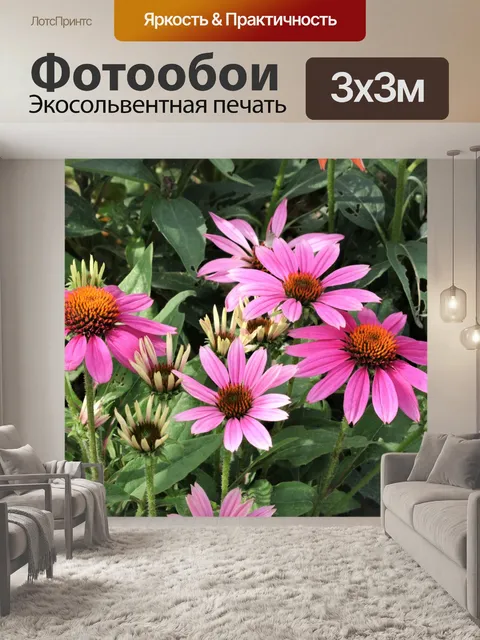 Фотообои Розовые подсолнухи в саду