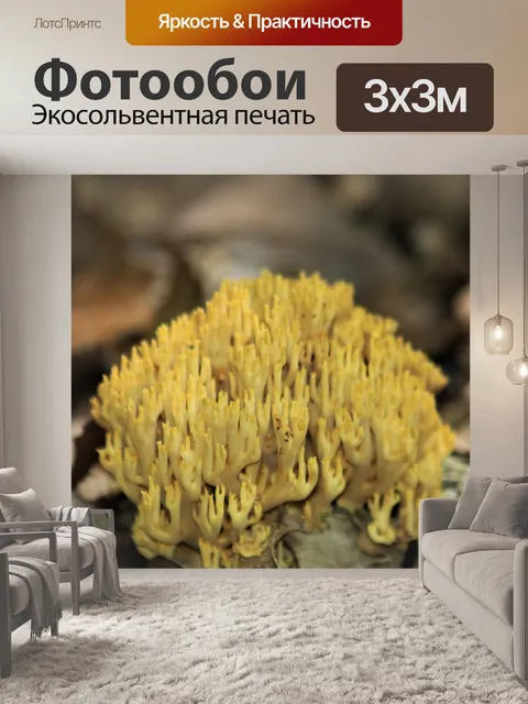 Фотообои Желтые коралловые грибы крупным планом