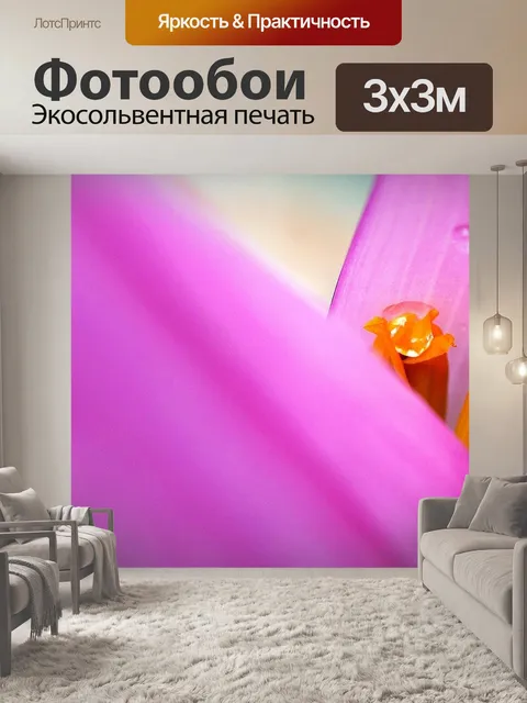 Фотообои Банановое дерево