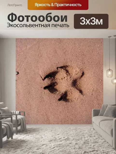 Фотообои Лапа собаки