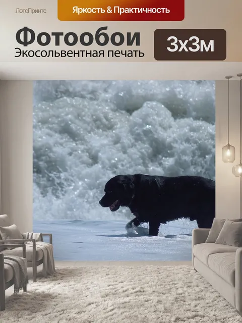 Фотообои Собака