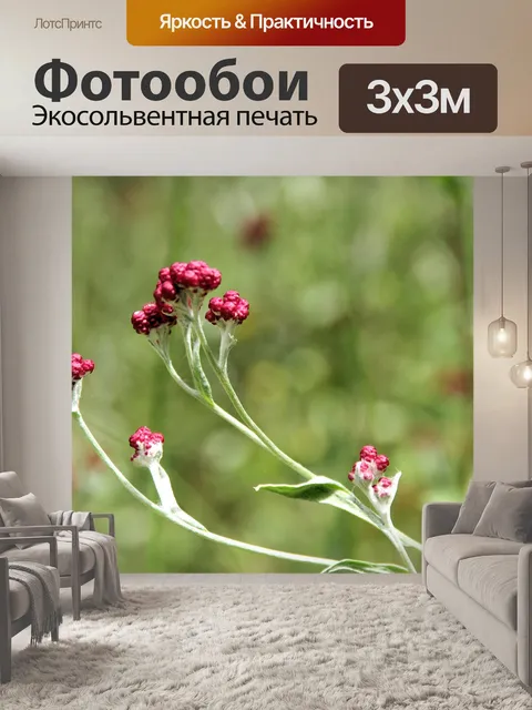 Фотообои Кровь Маккавеев с боке