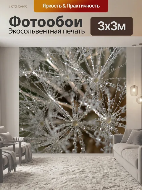 Фотообои Одуванчик