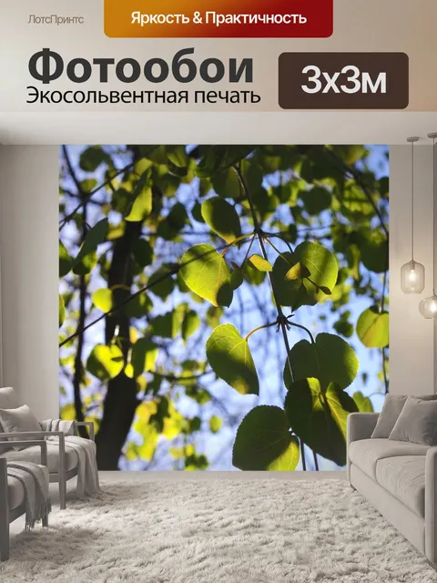 Фотообои Листья