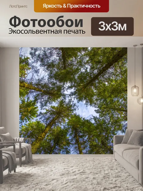 Фотообои лес