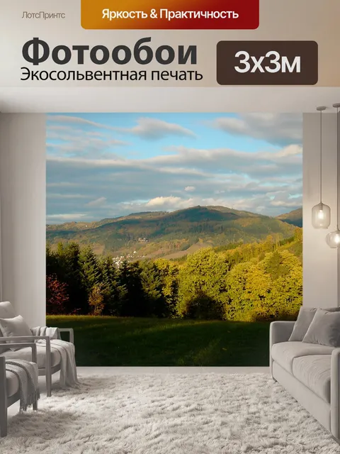 Фотообои Черный лес