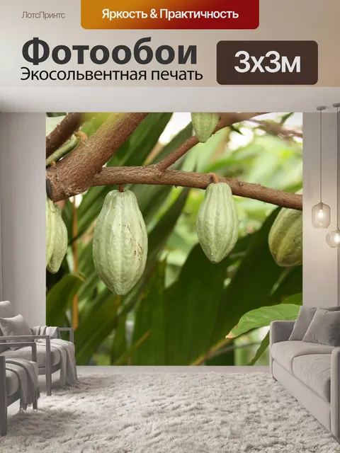 Фотообои Шоколадные семечки