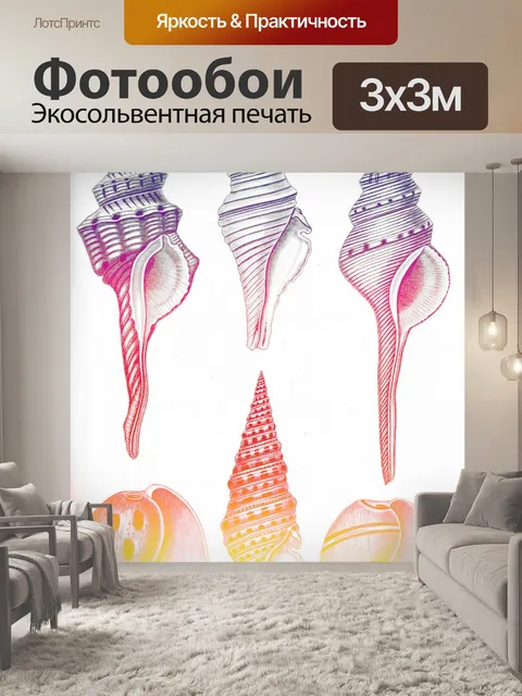 Фотообои Клипарт ракушки винтажное искусство