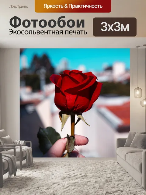 Фотообои Роза