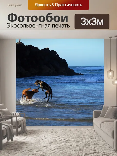Фотообои Собаки на пляже