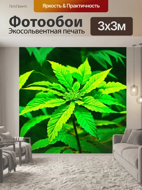 Фотообои зеленые в стиле пастельный рисунок, исследующие цвета и формы дикой природы с добавлением мелких деталей