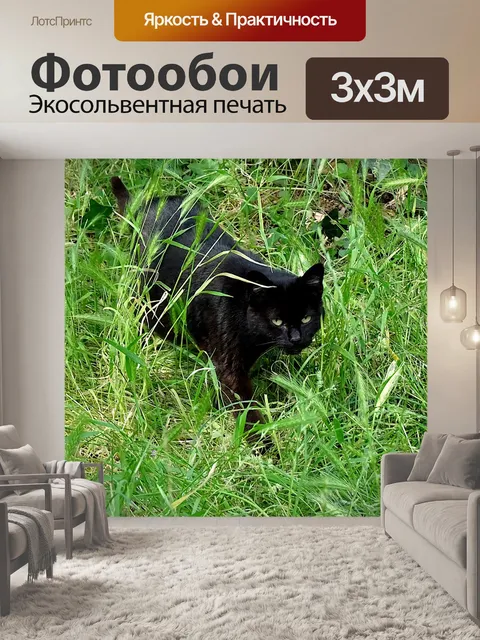 Фотообои Кошка