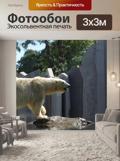 Фотообои Полярный медведь