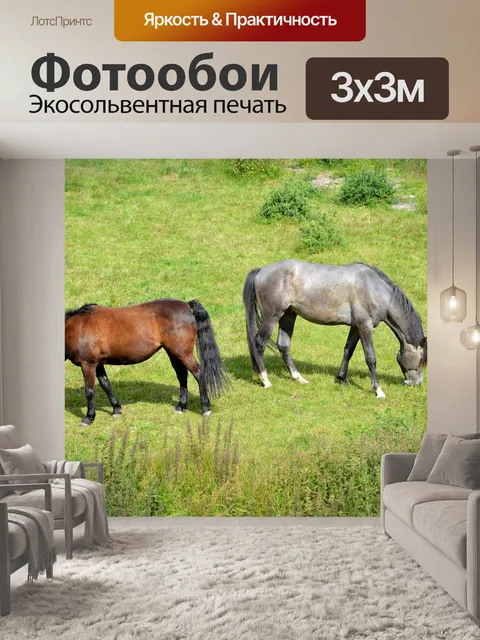 Фотообои Выпас лошадей