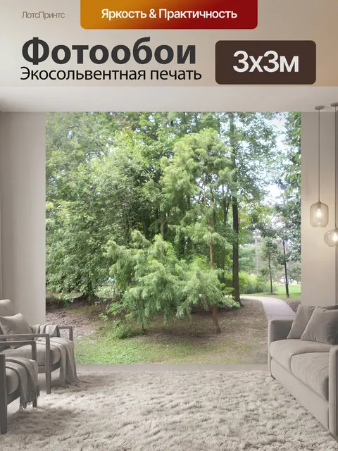 Фотообои Муниципальные Пейзажный парк