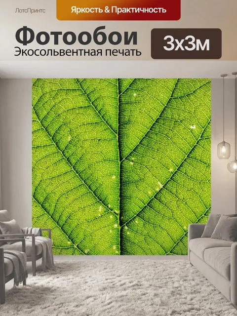 Фотообои Листья Листва Макро Фотография