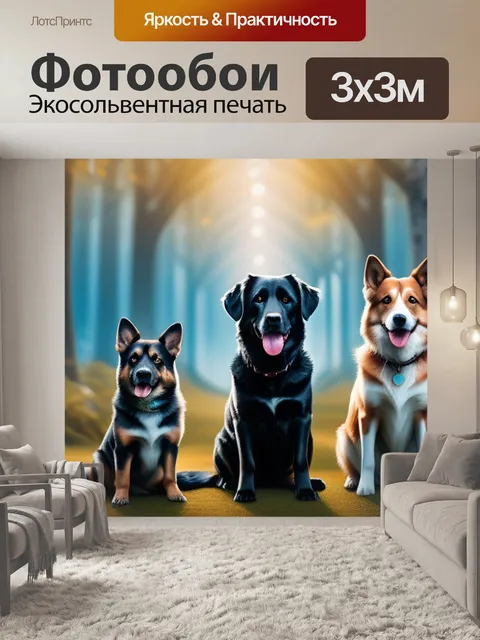Фотообои с собаками смешной