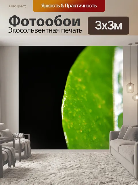Фотообои Зеленый лист