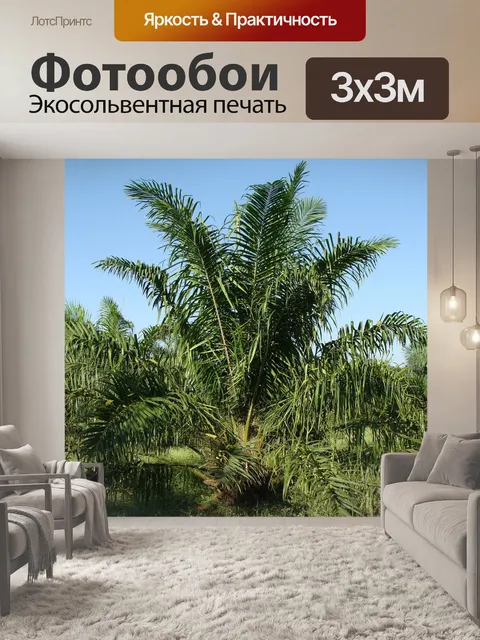 Фотообои Пальмовое масло