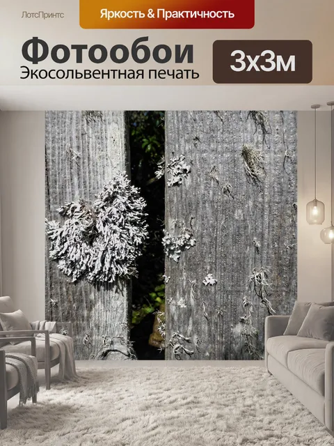 Фотообои Белый мох растет