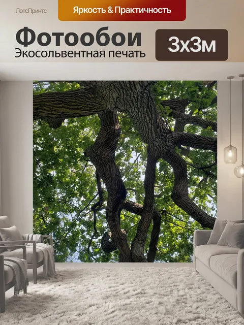 Фотообои Дерево