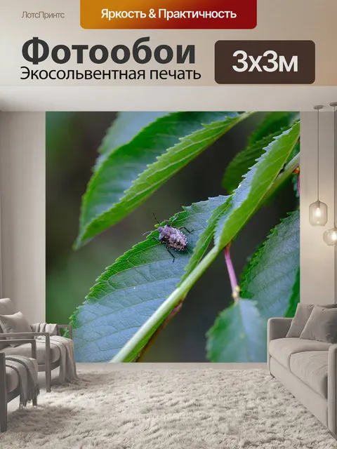 Фотообои Ошибка