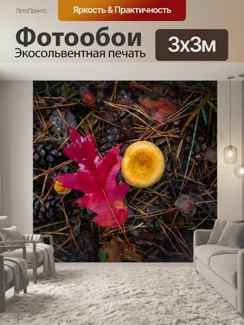 Фотообои Грибы