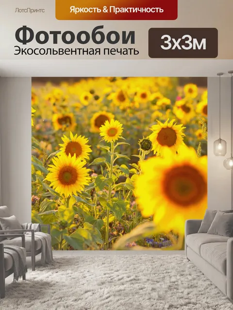 Фотообои Подсолнух осенью цвести цветок