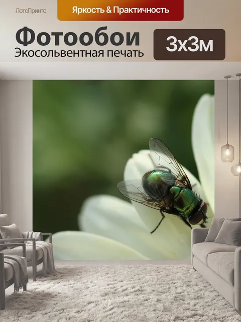 Фотообои Летать
