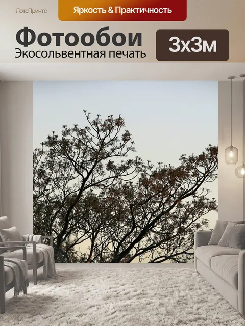 Фотообои гевея дерево