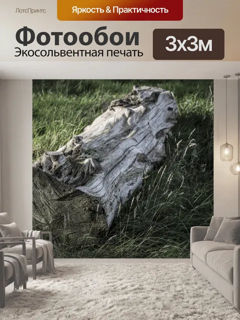 Фотообои Сухой ствол дерева на траве
