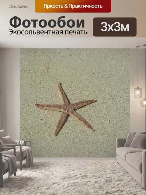 Фотообои Морская звезда