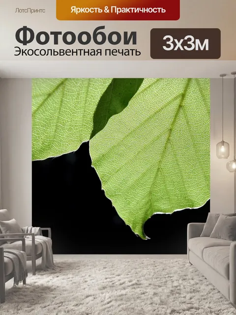 Фотообои Задний план