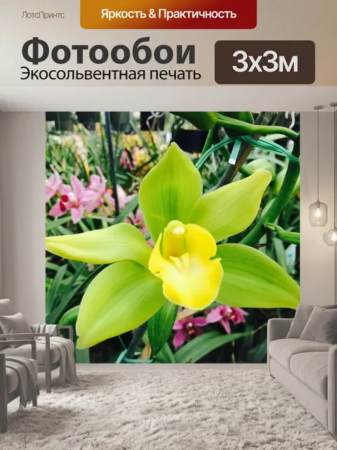 Фотообои Экзотика