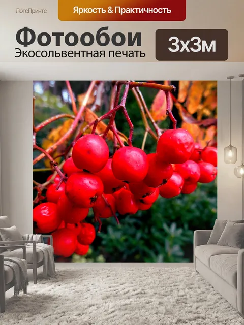 Фотообои Зимнее дерево с красными ягодами