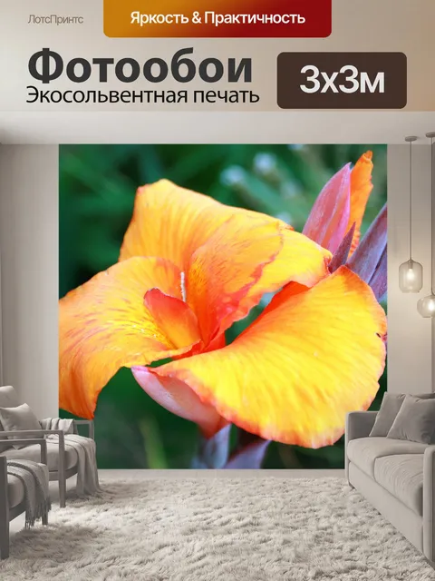 Фотообои оранжевого цвета Канна