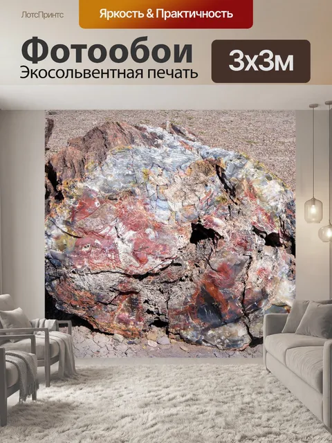 Фотообои Окаменевший лес национальный парк