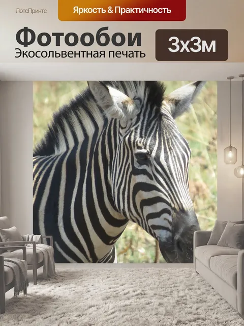 Фотообои Животное