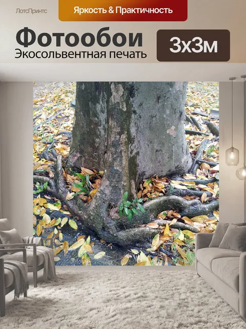 Фотообои тропических корня дерева на тротуаре