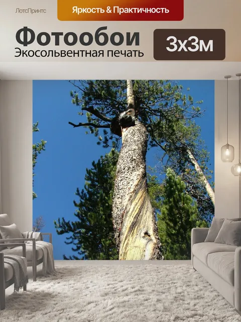 Фотообои Дерево
