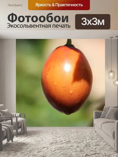 Фотообои Томат дерево