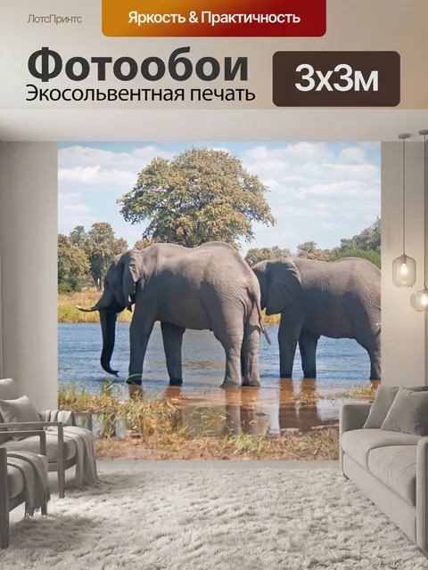 Фотообои два африканских слона в воде