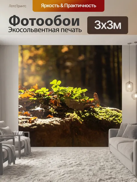 Фотообои Лес