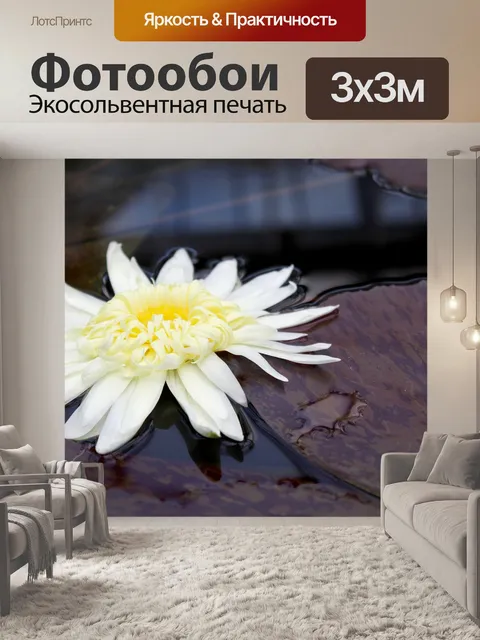 Фотообои Ботаника