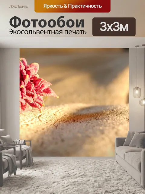 Фотообои Роза
