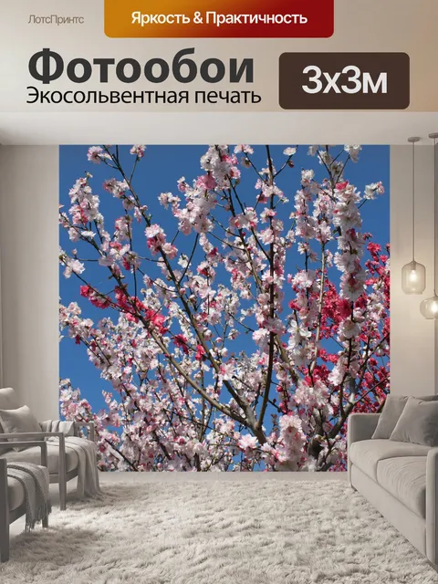 Фотообои Весенний цветок цветет