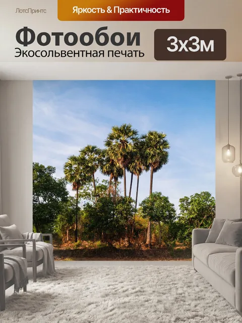Фотообои Сахарная пальма