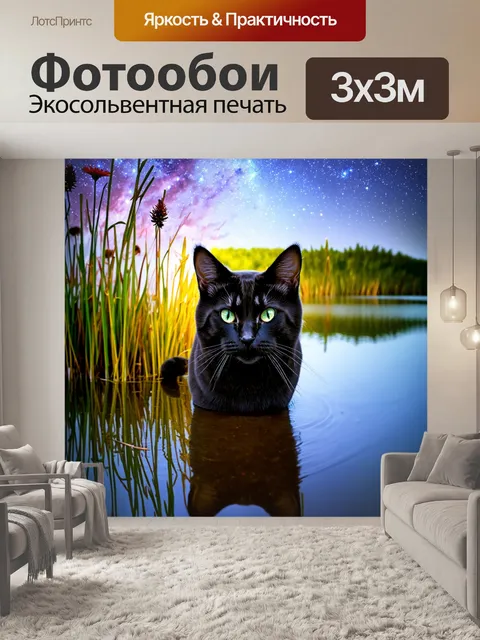 Фотообои на берегу спокойного озера, черный кот с короткой шерстью смотрит на отражение звезд в воде