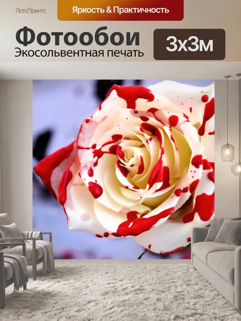 Фотообои Кровавый Божья коровка Роуз